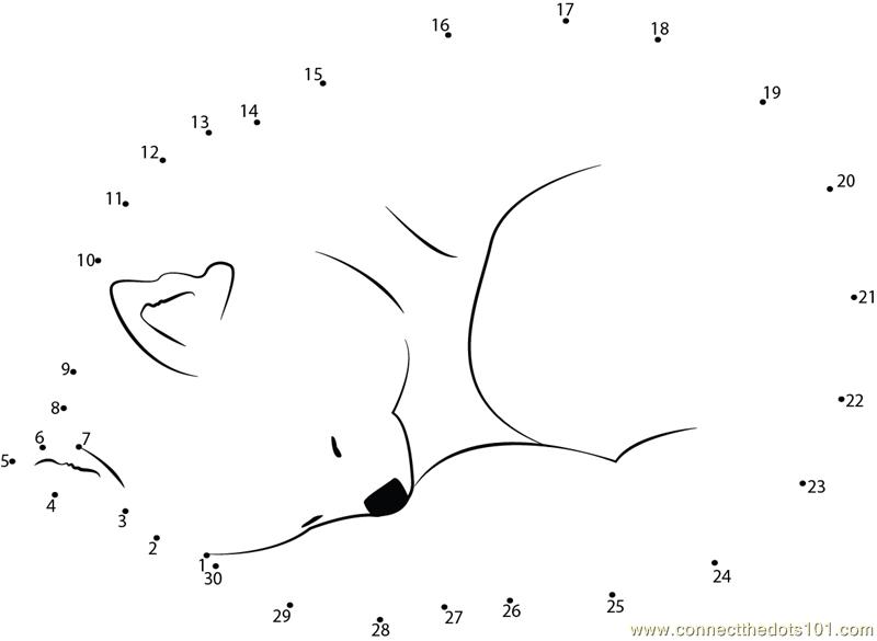Red Panda Sweet Sleep