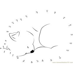 Red Panda Sweet Sleep Dot to Dot Worksheet