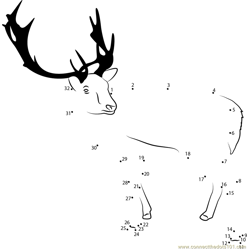 Reindeer Lokking Back Dot to Dot Worksheet