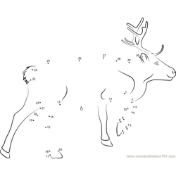 Reindeer Look Dot to Dot Worksheet