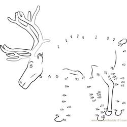 Reindeer Shyness Dot to Dot Worksheet