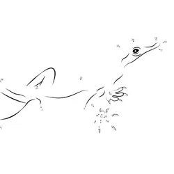 Lizard Numerical Sequence Fun Dot to Dot Worksheet