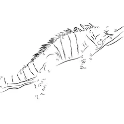Iguana Creature Numeric Sketch Dot to Dot Worksheet