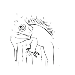 Iguana numeral challenge Dot to Dot Worksheet