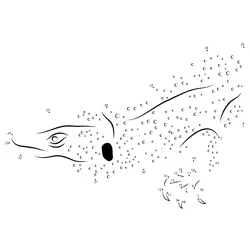 Green Sand Lizard Reveal Dot to Dot Worksheet