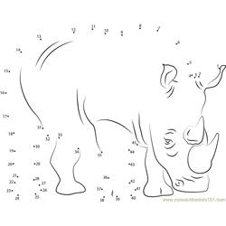 Two Horned Rhino Dot to Dot Worksheet