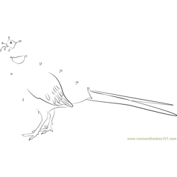 Extra Large Ring-necked Pheasants Dot to Dot Worksheet