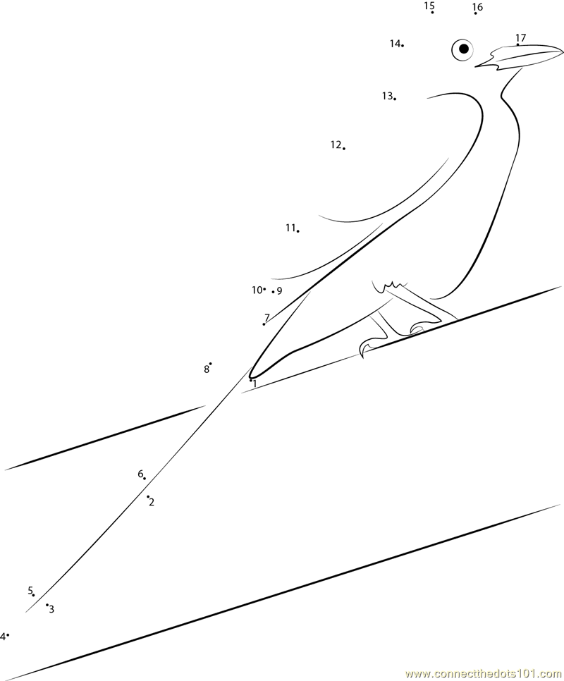 Small Scissor-Tailed Flycatcher