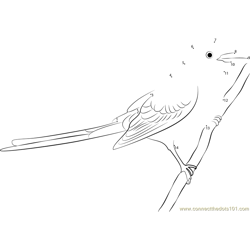 Black Scissor-Tailed Flycatcher Dot to Dot Worksheet