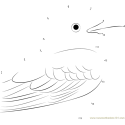 Scissor-Tailed Flycatcher Face Dot to Dot Worksheet