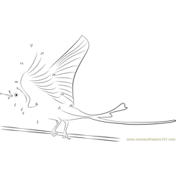 Scissor-Tailed Flycatcher Male Wing Up Dot to Dot Worksheet