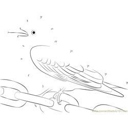 Scissor-Tailed Flycatcher Sitting on Iron Chain Dot to Dot Worksheet