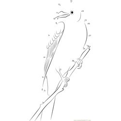 Scissor-Tailed Flycatcher Tyrannus forficatus Dot to Dot Worksheet
