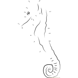 A Stunning Seahorse on the Fringing Seagrass Dot to Dot Worksheet