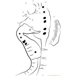 Beautiful Baby Seahorse With His Mother Dot to Dot Worksheet