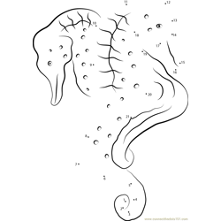 Golden Sanibel Seahorse Dot to Dot Worksheet