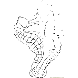 Lined Seahorse Dot to Dot Worksheet
