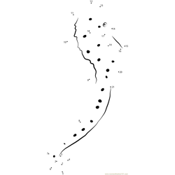 Spiny Seahorse Dot to Dot Worksheet