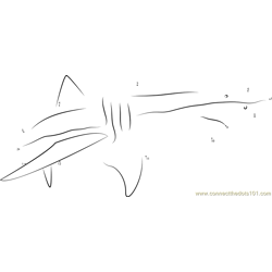 Basking Shark Dot to Dot Worksheet