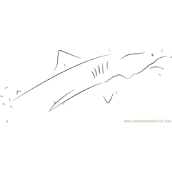 Big Tiger Shark Diving Dot to Dot Worksheet