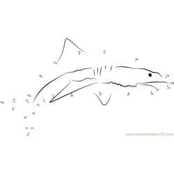 Sand Tiger Shark Dot to Dot Worksheet