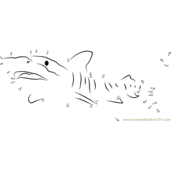 Tiger Shark Great Barrier Dot to Dot Worksheet