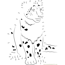 Cute Snow Leopard Dot to Dot Worksheet