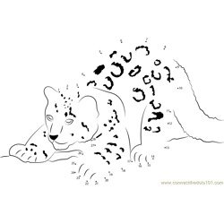 Snow Leopard Cub Dot to Dot Worksheet