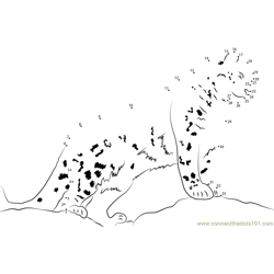 Snow Leopard Watch Dot to Dot Worksheet