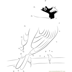 Male House Sparrow Dot to Dot Worksheet