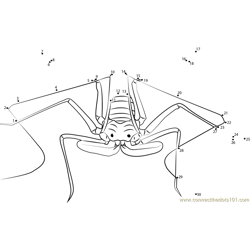 Scorpion Spider Dot to Dot Worksheet