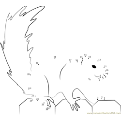 Fox Squirrel Dot to Dot Worksheet