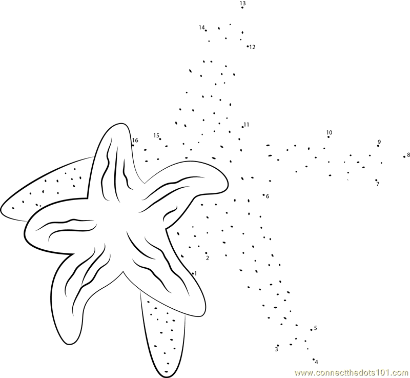 Northern Starfish
