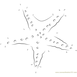 Goose Foot Starfish Dot to Dot Worksheet