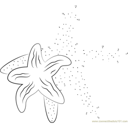 Northern Starfish Dot to Dot Worksheet