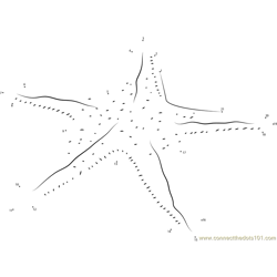 Starfish at Goa Dot to Dot Worksheet