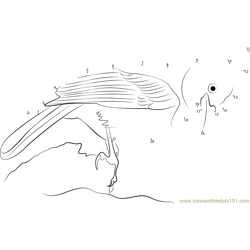 Mountain Jay Dot to Dot Worksheet