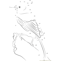 Steller's Jay Description Dot to Dot Worksheet