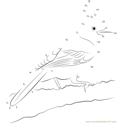 Steller's Jays Live in Conifer Forests Dot to Dot Worksheet