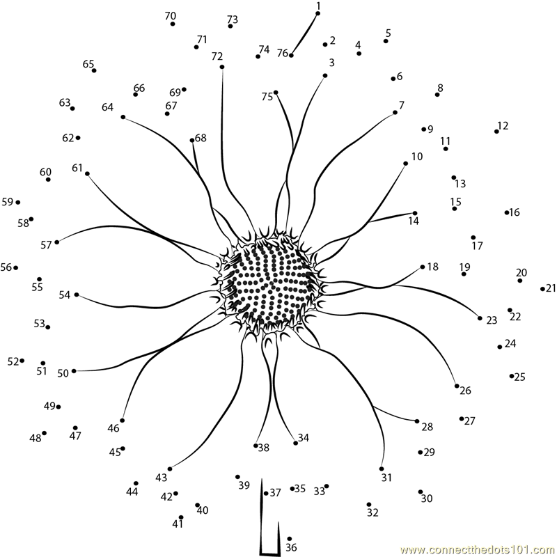 Small Sunflower dot to dot printable worksheet Connect The Dots