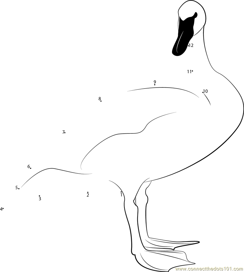 Standing Swan