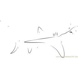 Malapascua Thresher Sharks Dot to Dot Worksheet