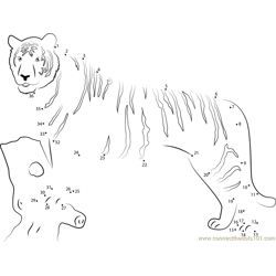 Panthera Tigris Dot to Dot Worksheet