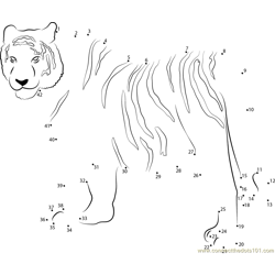 Siberian Tiger Dot to Dot Worksheet