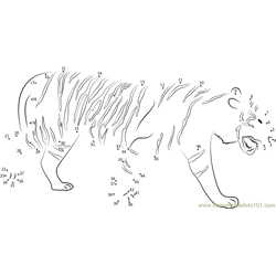 Sumatran Tiger Dot to Dot Worksheet