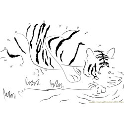 Taste of Water Dot to Dot Worksheet