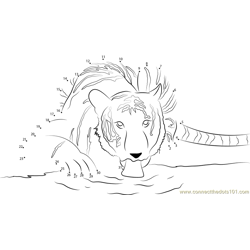 Tiger Drink Water Dot to Dot Worksheet