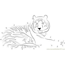 Tiger Look at Me Dot to Dot Worksheet