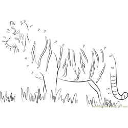 Tiger Walking in Grass Dot to Dot Worksheet