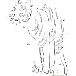 Tiger Wild Dot to Dot Worksheet